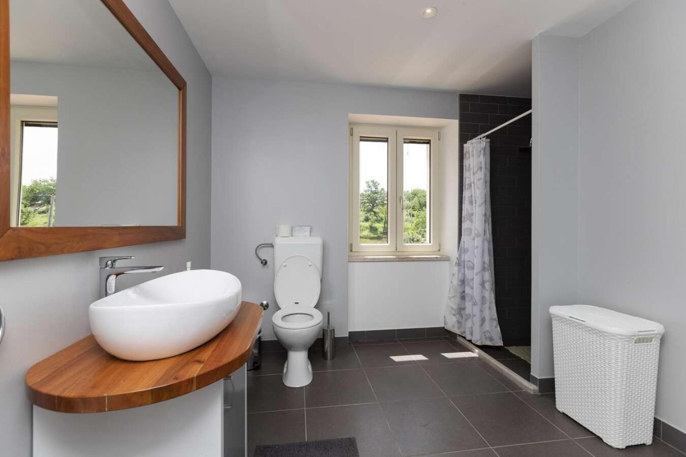 Villa Viscum In Central Istria For 8 Persons With Large Garden - Pet Friendly Pazin Exterior photo